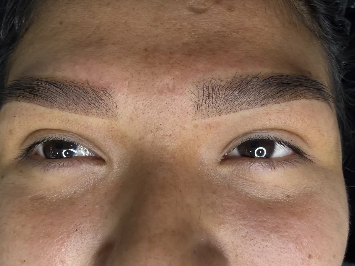 Cejas después, con forma y densidad